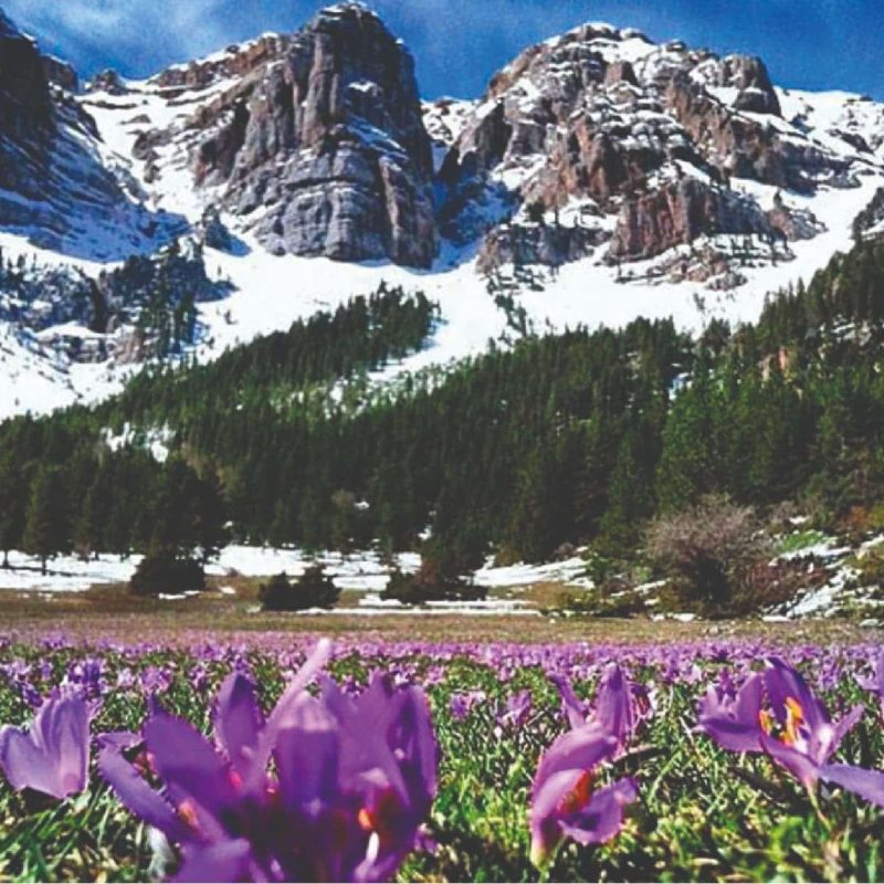 parc-nacional-cadi-moixero